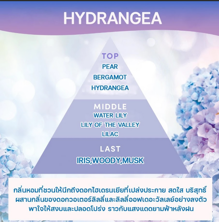 SHALDAN โชชูริกิ พรีเมี่ยมอโรม่า สติ๊ค ก้านไม้หอมปรับอากาศ กลิ่น ไฮเดรนเยีย ขนาด  65 มล. ICCSHOPPING